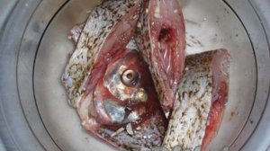 Лещ, тушеный с овощами в сливках