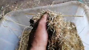 Сечкарня. Тест перед покраской. ////