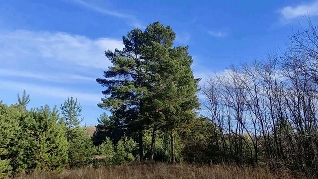 7 декабря праздник День Святой Катерины. Главные запреты дня. Именинники дня. Народные приметы.