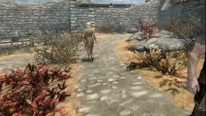 The Elder Scrolls V Skyrim Anniversary Edition. прохождение скайрим за мага