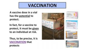 The Center for Vaccine Development and Global Health Frontiers in Vaccinology Honorary Lectureship