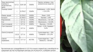 Агровит - Кор  удобрение  повышает урожай на 60 %