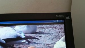 Монитор ViewSonic VA2216w-6