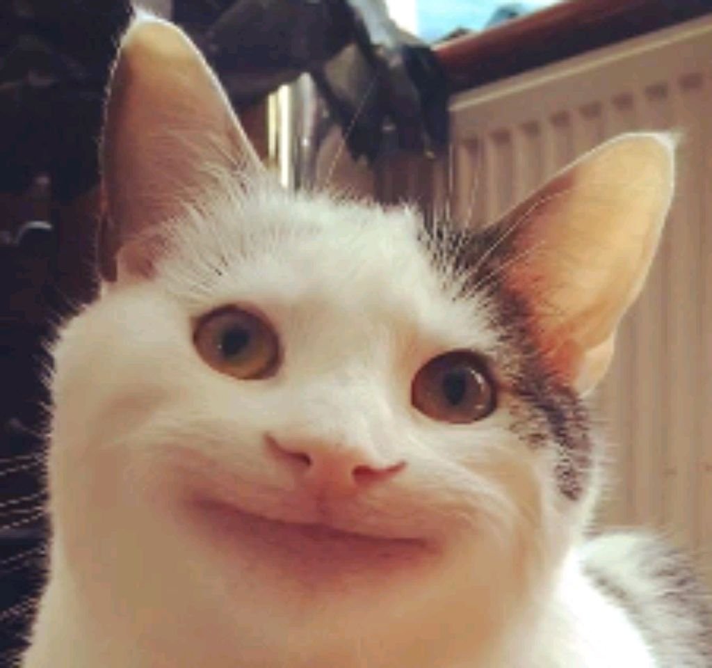 разговор