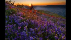 Просто красивая музыка...