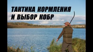 Тактика кормления  и выбор кобры для рыбалки.