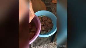 Шашлык СССР на уксусе