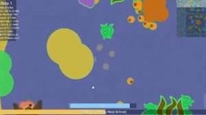 Черный Дракон 23,28М хр!, Mope.io, Мопио Черный Дракон, Бета сервер.