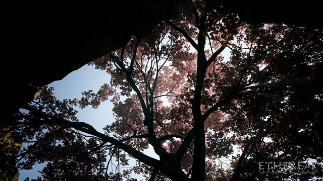 New Map Pre-Alpha смотреть онлайн