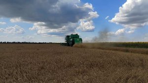 Уборка урожая пшеницы 2023!