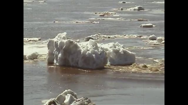 Видео-зарисовка: "Рождение весны..." 2021