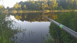 Рыбалка утром на Джамгаровском пруду в Москве