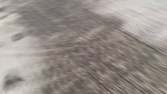 Разборка Peugeot - 307, 1.6 Инжектор (VIN: VF33BNFUC84684386) AD06GWW смотреть онлайн