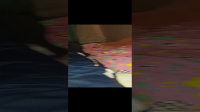 Милота спит