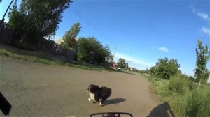 Перцовый баллончик Контроль УМ против Собак, Перец, г.Омск. Город глазами велосипедиста #52