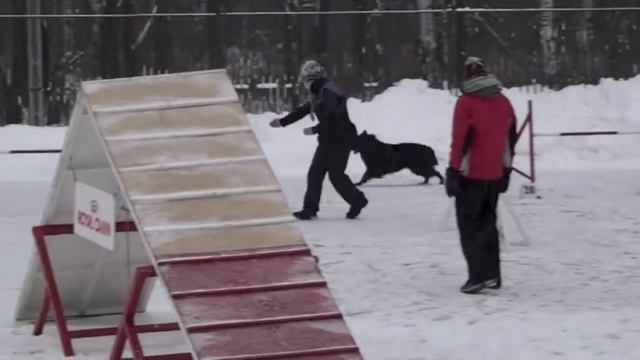 Кубок Общественного Совета, 08.12.12г., СПб, v07 смотреть онлайн