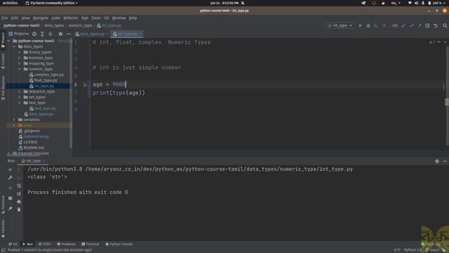 Python Syntax,  Indentation, Best practices in writing Python codes and In built Data types (Tamil)