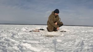 ПОЛ ТОННЫ РЫБЫ ЗА 3 ДНЯ!РАНЬШЕ ЕЁ ВЫВОЗИЛИ ОТ СЮДА САМОЛЁТАМИ...