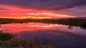 КАК ДОЛГО БУДЕТ ПРОДОЛЖАТЬСЯ ЖИЗНЬ НА ЗЕМЛЕ, ЕСЛИ ПОГАСНЕТ СОЛНЦЕ