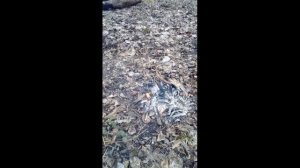 Что случилось на канале МИСТИЧЕСКИЙ ПУТЬ #мистическиепрактики