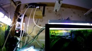 Просто зверюга! Установил четырёхканальный компрессор (Аква Хижина, выпуск 124)