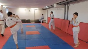 Джиу джитсу Ju Jutsu. Разминочный комплекс, перед детской тренировкой №3