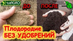 ПРЕВРАЩАЕМ ПЕСОК в ЧЕРНОЗЕМ! Как накормить растения без удобрений и чем заправлять грунт для рассады