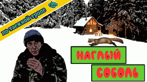 Охота на соболя | Мудрый зверек