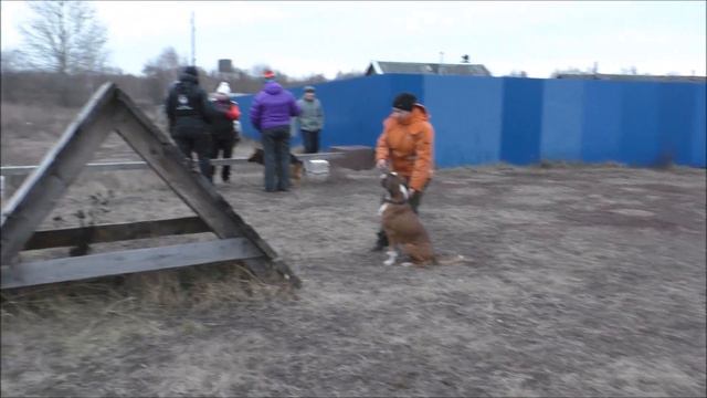 Просто Веня! смотреть онлайн