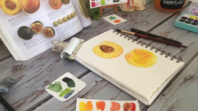 Watercolor projects for Beginners | How to Paint a Peach 🍑 смотреть онлайн