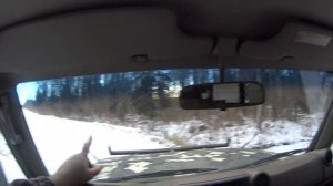 Охота с лайками на кабана и лося Саня в гостях