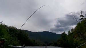 ЛЕНОК на МУШКУ,ПРОДОЛЖАЕМ ТЕСТИРОВАТЬ МУШКИ!!!