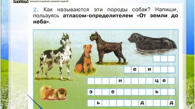 Атлас определитель 2 класс породы собак. Породы кошек и собак окружающий мир. Про кошек и собак 2 класс окружающий мир рабочая тетрадь. Породы собак окружающий мир 2. Породы собак окружающий мир 2 класс.