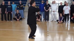 Tai Chi Forms 1 - Chen Xiao  Wang