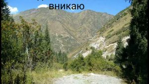 Когда в ТВОИ СЛОВА вникаю.Слова и аккорды.