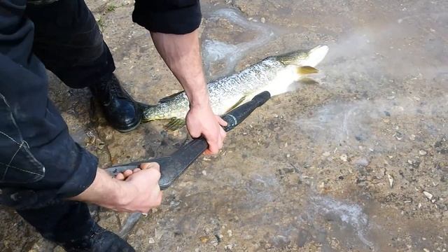 Как правильно мыть щуку керхером!) смотреть онлайн