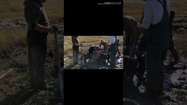 Очистка родника! От и до! С установкой колец.