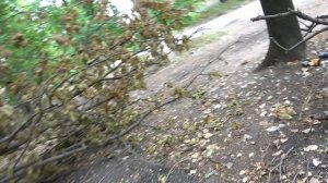 Как живут люди в Петровском районе Донецка