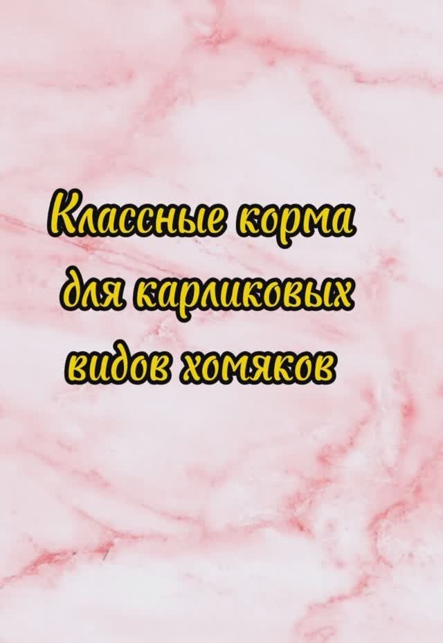 Классные корма для карликовых хомяков!