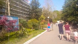 Сочи Адлер Пансионат Бургас - конец апреля 2022