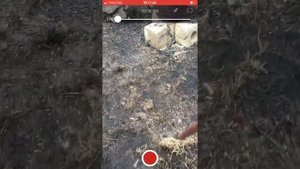 Как поставить паузу при записи на всех iPhone ?