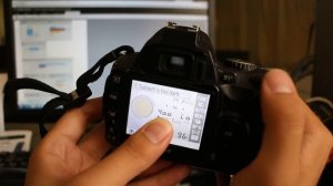 Nikon D40 D40X Settings