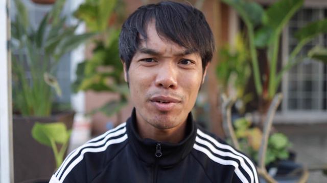 Plumeria and Fiddle Leaf Plants are Rooting смотреть онлайн