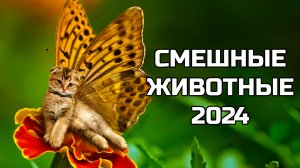 СМЕШНЫЕ ЖИВОТНЫЕ 2024 (№76) видео с котами