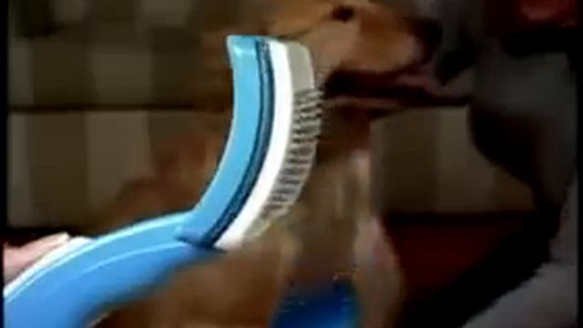 Pet Zoom Пет Зум щетка расческа для вычесывания собак и кошек смотреть онлайн