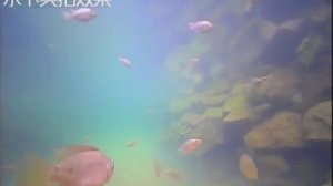 Рыболовные товары оптом, купить рыболовные снасти оптом из Китая