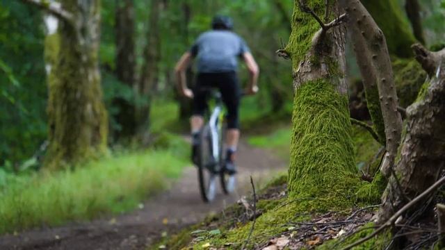 First Ride of my SCOTT Scale Hardtail Super Light XC Bike смотреть онлайн