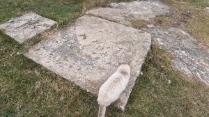 Выходные в Горном Алтае. Памятник Шукшину В.М. Гора "Чертов палец". Чемал.  Музей Чуйского тракта.