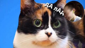 Сливки ШоШ | RYTP - SlivkiShow - РЕАКЦИЯ СЛАВИКА