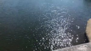 Фан-видео (Релакс) под песню Scarlett la Queen “Право на счастье"